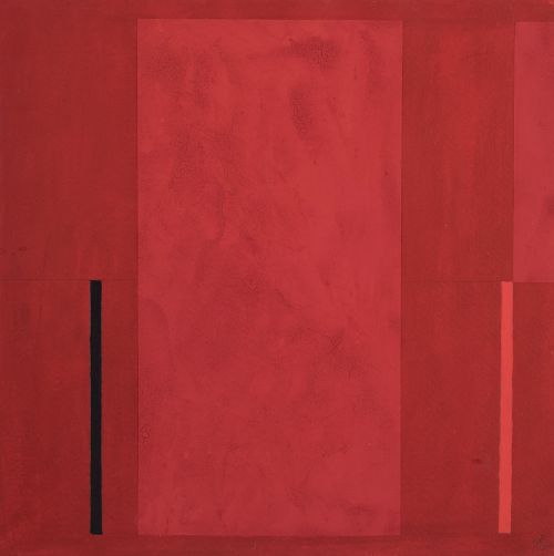 CESAR  PATERNOSTO, CESAR PATERNOSTO La Plata, Argentina (19