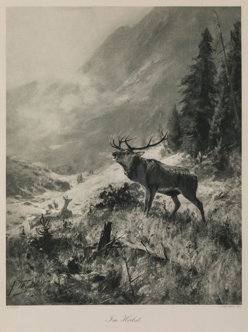 JULIUS ARTHUR THIELE, "Ciervo bramando en la montaña", 1905