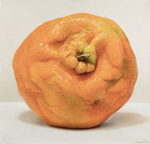 HERMANN CAMARGO, "Mandarina", 2024, Óleo sobre lienzo