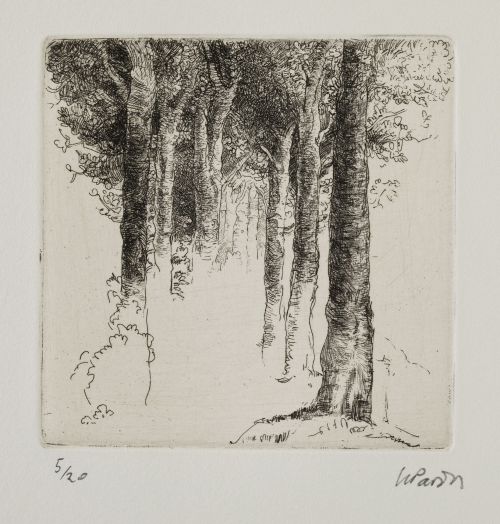 HERMOGENES PARDOS RUIZ, "Arboleda", "Desnudo" y "Escritor e