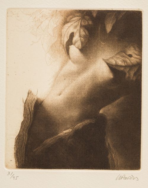 HERMOGENES PARDOS RUIZ, "Arboleda", "Desnudo" y "Escritor e