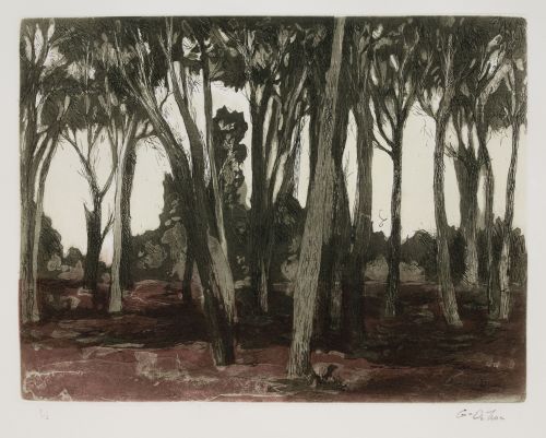 LUIS GARCÍA OCHOA, "Bosque", Aguafuerte y aguatinta sobre p