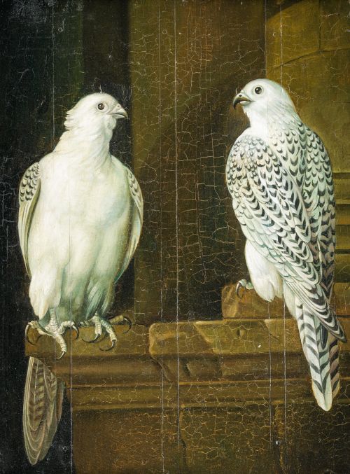 ESTUDIO  CANALS (MIGUEL CANALS), "Pareja de halcones", Óleo