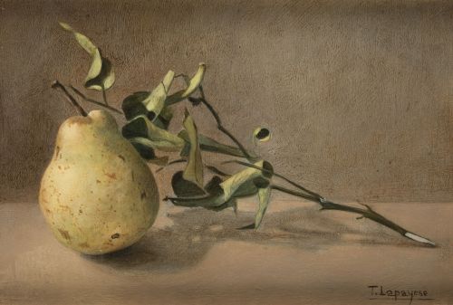 TERESA LAPAYESE PUEBLA, "Pera", 1997, Óleo sobre tabla