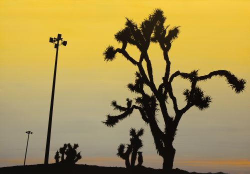 GLEN RUBSAMEN, "Desesperado, isn’t funny how the feeling go