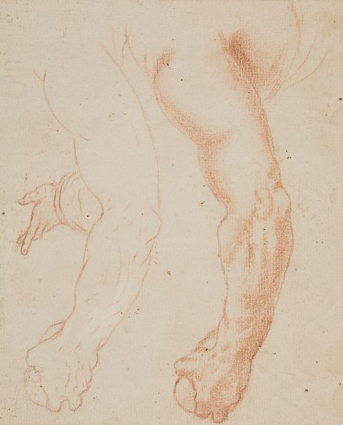 ESCUELA MADRILEÑA, "Estudio de brazo y mano", Sanguina sobr