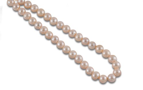 COLLAR DE PERLAS CULTIVADAS.