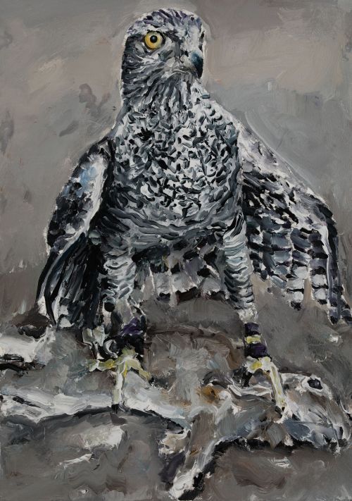 SANTIAGO  YDAÑEZ, "Águila imperial", 2021, Óleo sobre lienz