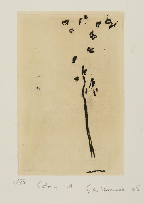 FERNANDEZ DE LARRINOA, "Catai 1.1, 1.3 y 1.4", 2005, Tres