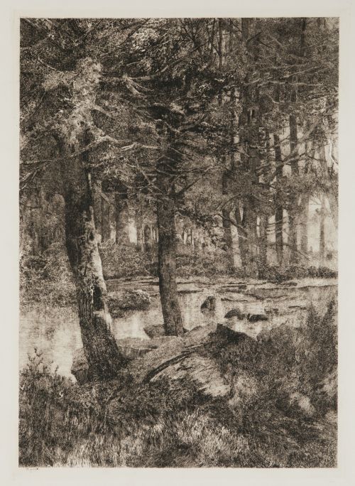 JUAN ESPINA Y CAPO, "Bosque", Aguafuerte sobre papel Arches