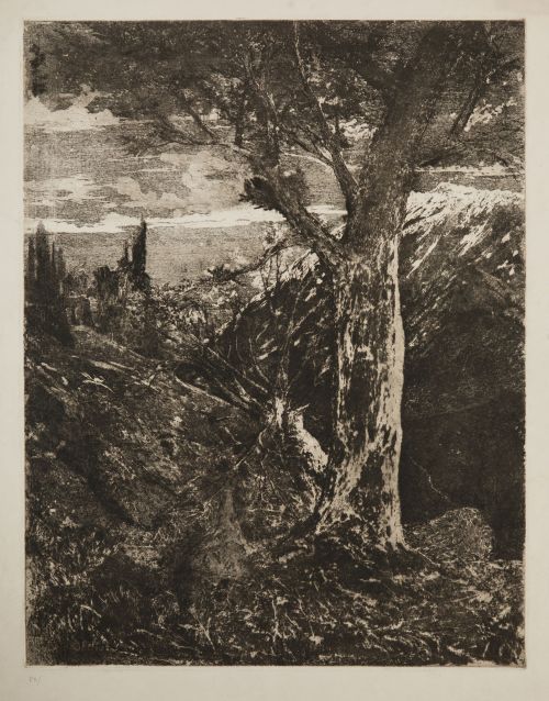 JUAN ESPINA Y CAPO, "Paisaje de montaña", Aguafuerte sobre