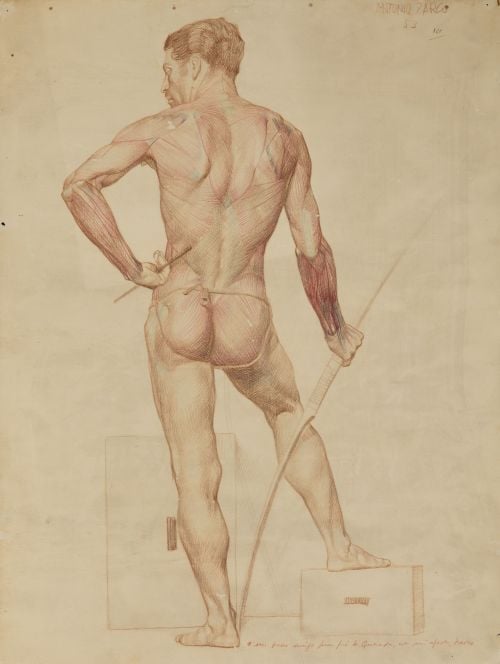 ANTONIO ZARCO, "Estudio anatomico de modelo masculino de es