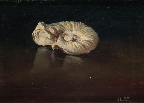 JOSE LUIS BARDASANO RUBIO, "Bodegón con fósil marino" y "Bo