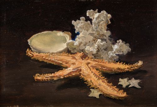 JOSE LUIS BARDASANO RUBIO, "Bodegón con concha, coral y est