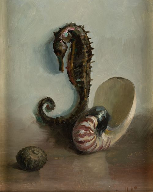 JOSE LUIS BARDASANO RUBIO, "Bodegón con caballito de mar, c