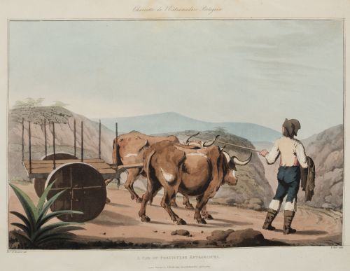 JOHN HEAVISIDE CLARK, JOHN HEAVISIDE CLARK Scotland, United