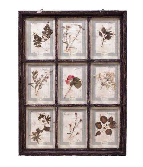 Herbolario, Italia, pps. S. XX