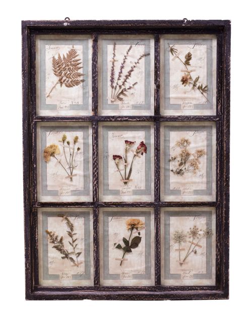 Herbolario, Italia, pps. S. XX