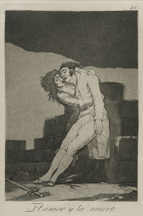 FRANCISCO DE GOYA Y LUCIENTES, FRANCISCO DE GOYA Y LUCIENTE