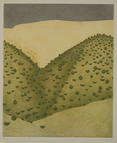 ROSA  BIADIU, ROSA BIADIU Barcelona (1944) "Landscape", 197