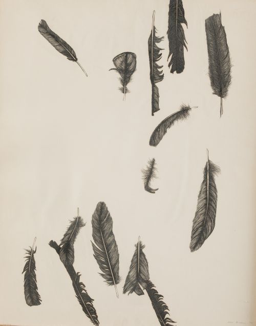 ROSA  BIADIU, ROSA BIADIU Barcelona (1944) "Feathers"