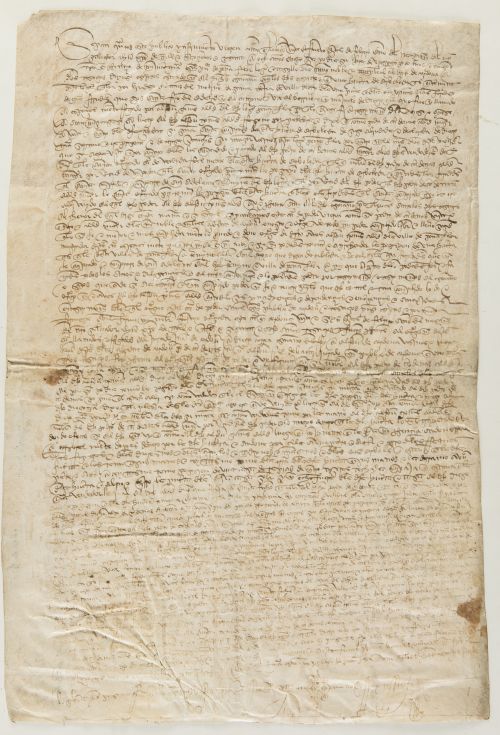 Manuscrito. "Escritura de posesión de tierras en la Villa d