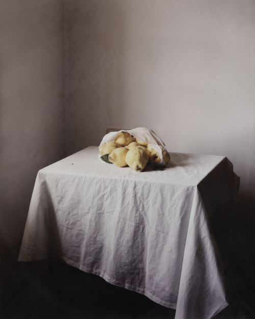 JESÚS MADRIÑÁN, "Los membrillos, seie la Finca", 2011, Foto