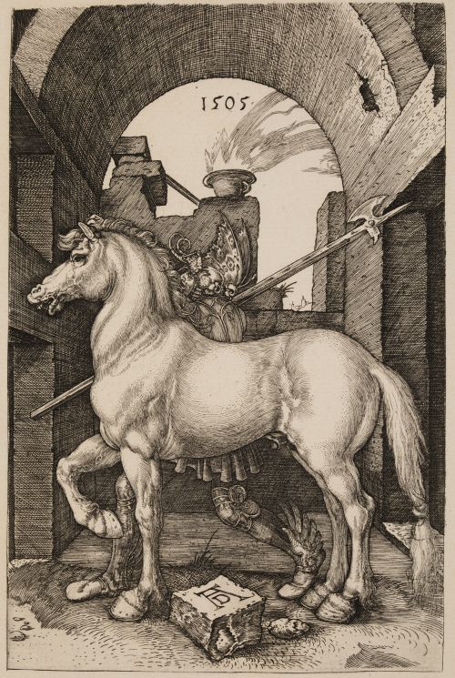 ALBERTO DURERO, "El Pequeño Caballo"