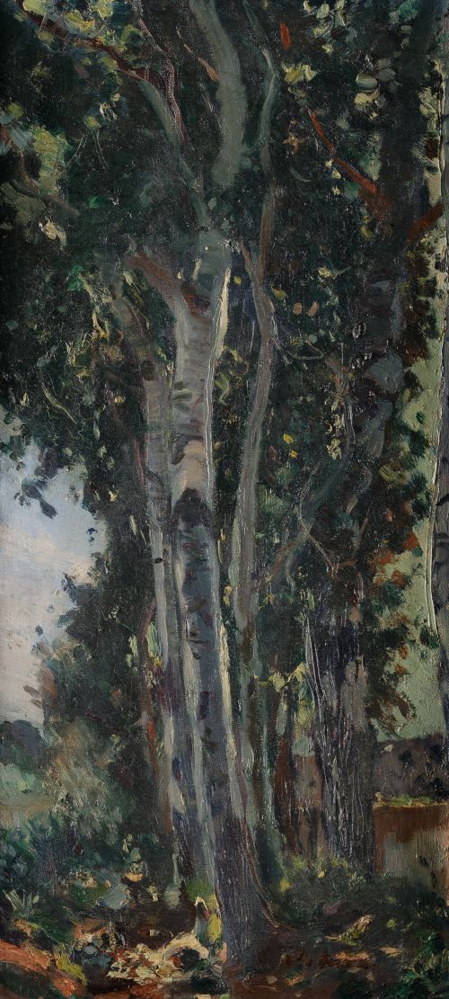 JOAQUÍN MIR TRINXET, JOAQUIN MIR TRINXET Barcelona (1873) /