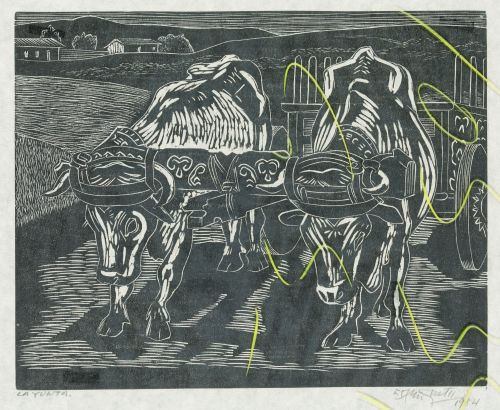 FRANCISCO AMIGUETTI, FRANCISCO AMIGUETTI Costa Rica (1907)