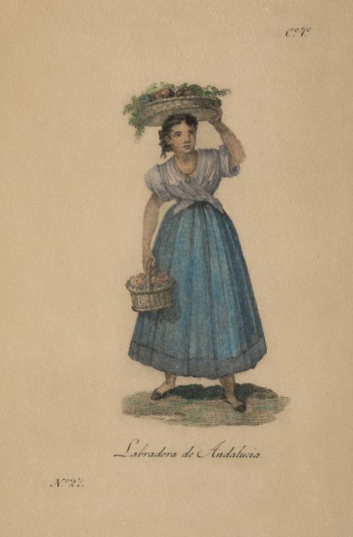 JOSE RIBELLES Y HELIP, JOSE RIBELLES Y HELIP Valencia (1778