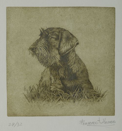FERNANDO GARCÍA HERRERA, “Teckel”, Grabado