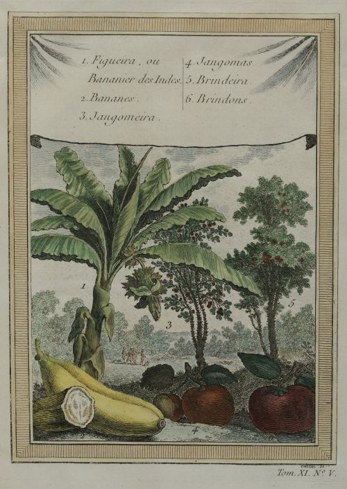 VARIOS AUTORES , "Las Islas Filipinas en el siglo XIX: Tipo