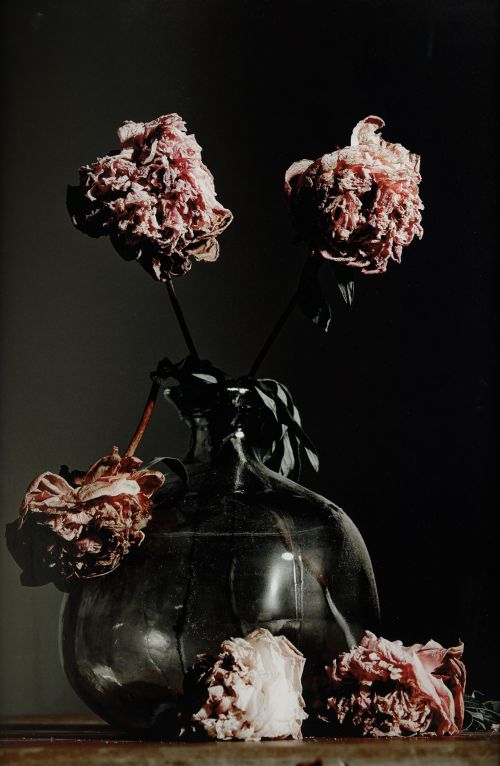 GORKA POSTIGO, GORKA POSTIGO Madrid (1978) "Untitled", 2015