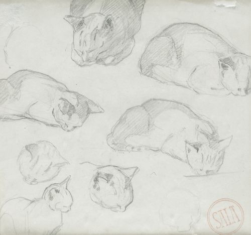 EMILIO SALA Y FRANCÉS, "Estudio de gatos", Grafito y lápiz