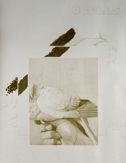 MANUEL  BOIX ÁLVAREZ, "Pájaros", 1985, Aguafuerte sobre pap