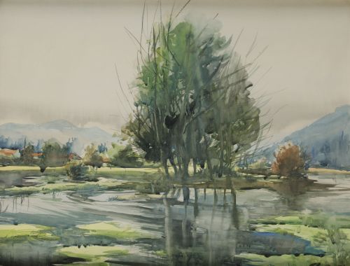 RICARDO SACRISTÁN ARRIETA, RICARDO SACRISTAN ARRIETA Vitori