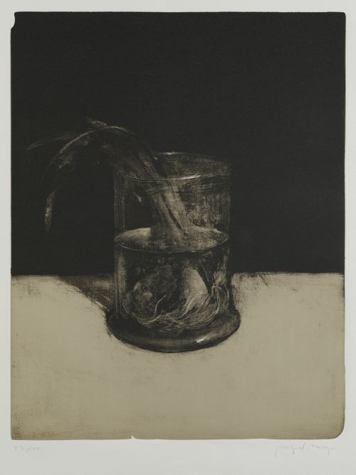MIGUEL  MACAYA, "Bodegón I", Litografía sobre papel