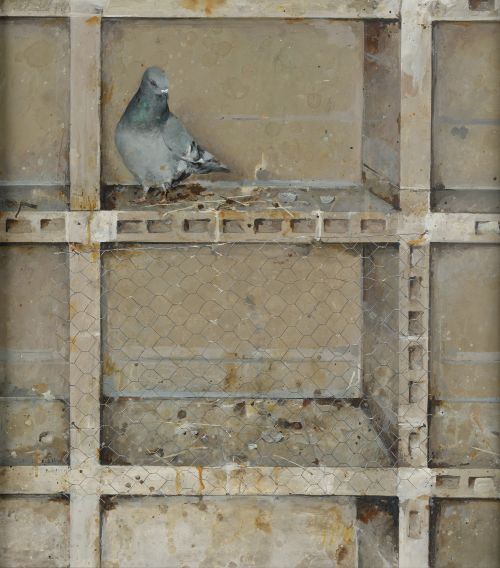 FLORENCIO GALINDO, FLORENCIO GALINDO Adanero (1947) / Avila