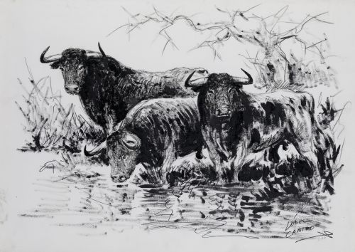 JOSÉ LÓPEZ CANITO, "Toros", 1990, Técnica mixta sobre papel