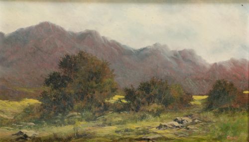 ALFREDO HERNÁNDEZ CARAL, ALFREDO HERNANDEZ "CARAL" (20th Ce