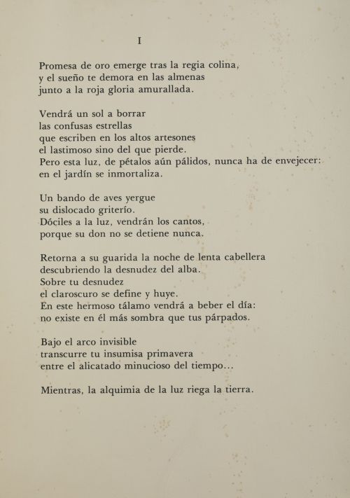 MIGUEL RODRIGUEZ ACOSTA Granada (1927) / (2025) "If you wan