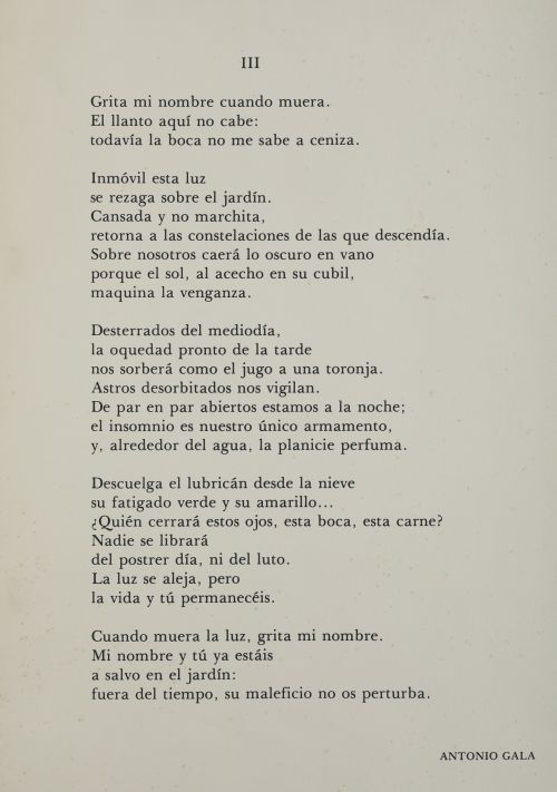 MIGUEL RODRIGUEZ ACOSTA Granada (1927) / (2025) "If you wan