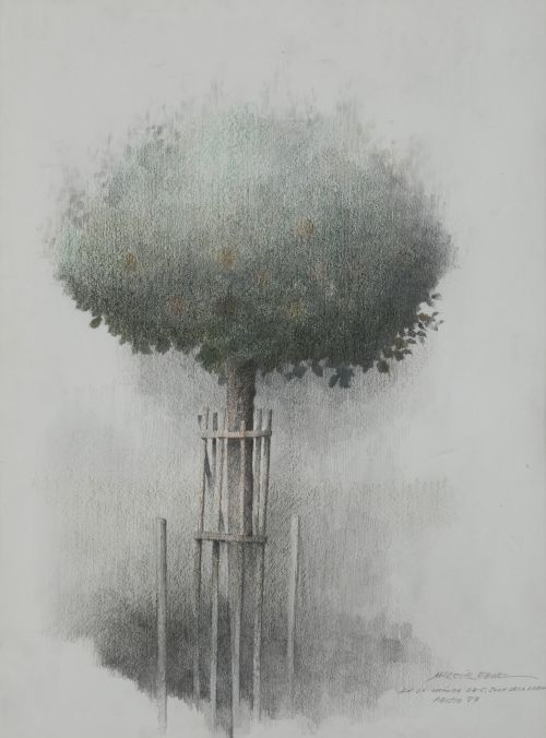 MARCIAL GÓMEZ PAREJO, "En la Encina de San Joan de la Arena