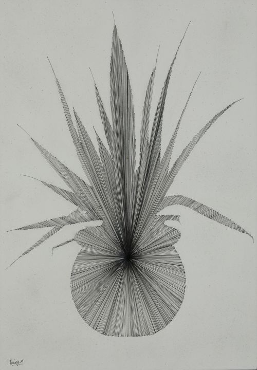 LUIS  PANIEGO, "A floral", 2019, Tinta china y plumilla sob
