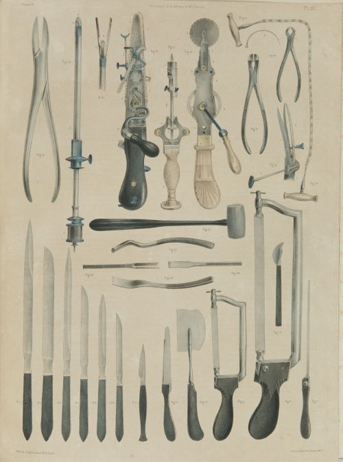 JEAN - MARC BOURGERY, "Traité complet de l’anatomie de l’ho