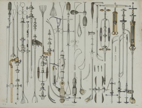 JEAN - MARC BOURGERY, "Traité complet de l’anatomie de l’ho
