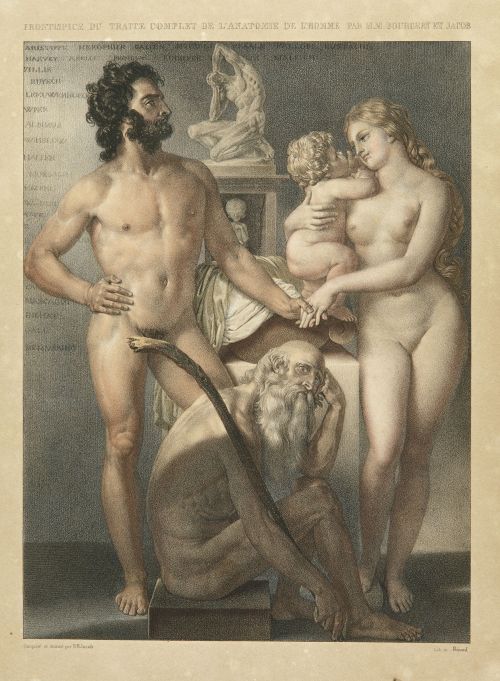 JEAN - MARC BOURGERY, "Traité complet de l’anatomie de l’ho
