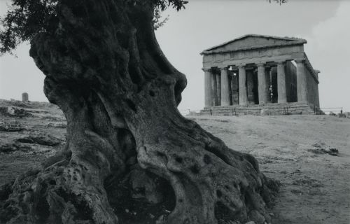 MASSIMO SIRAGUSA, "Valle de los templos, Sicilia", Fotograf