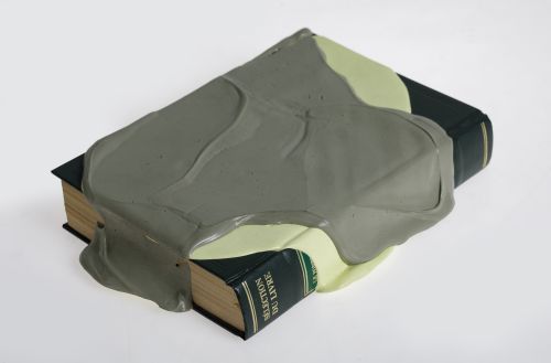 MIGUEL ÁNGEL MOLINA, "Libro", 2010, Escultura a partir de u